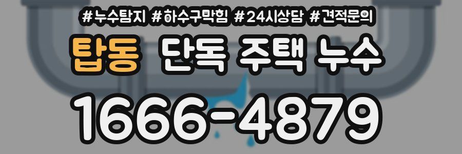 탑동 단독 주택 누수