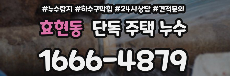 효현동 단독 주택 누수