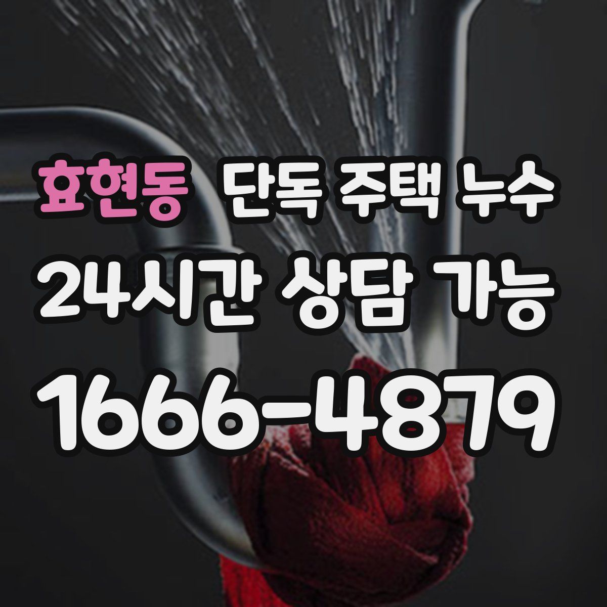 효현동 단독 주택 누수