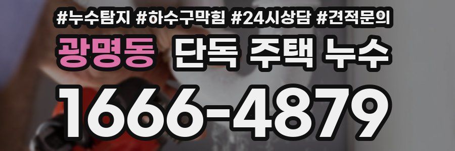 광명동 단독 주택 누수