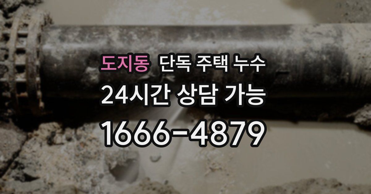 도지동 단독 주택 누수