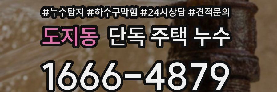 도지동 단독 주택 누수