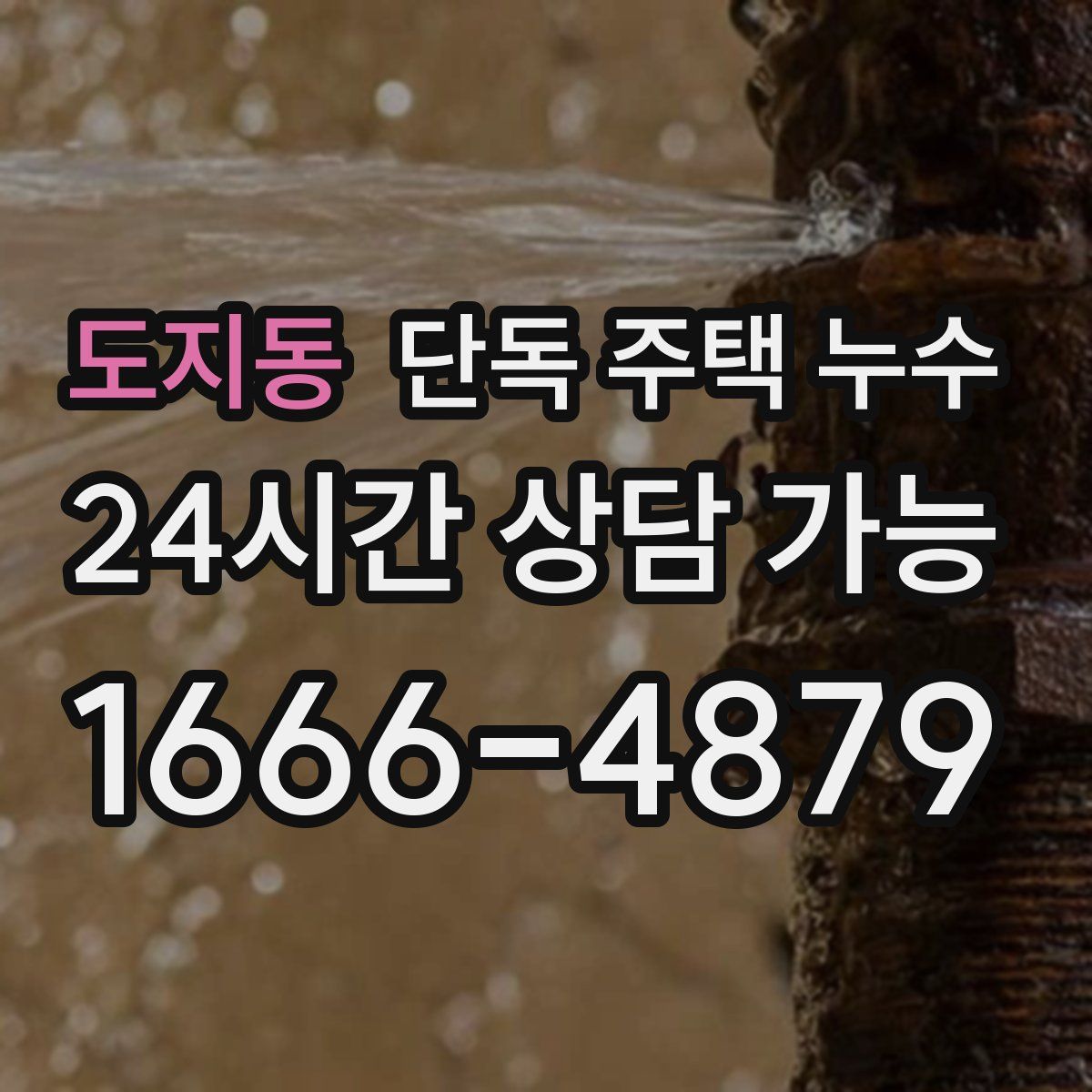 도지동 단독 주택 누수