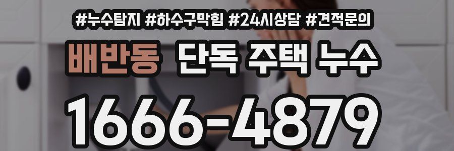 배반동 단독 주택 누수