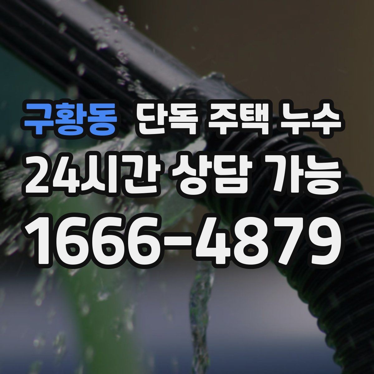 구황동 단독 주택 누수 현관 타일 줄눈이 검게 변하면 위험 신호