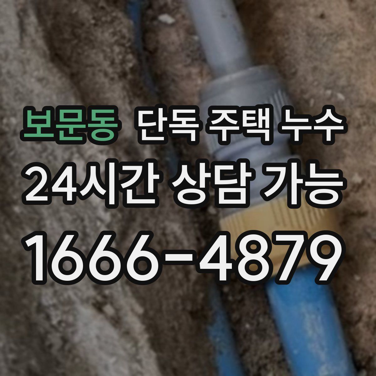 보문동 단독 주택 누수