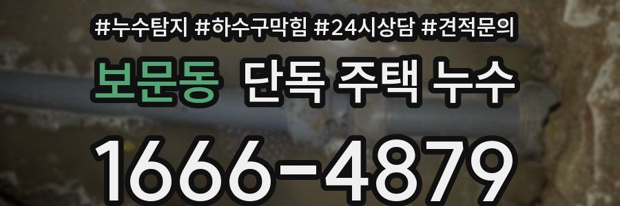 보문동 단독 주택 누수