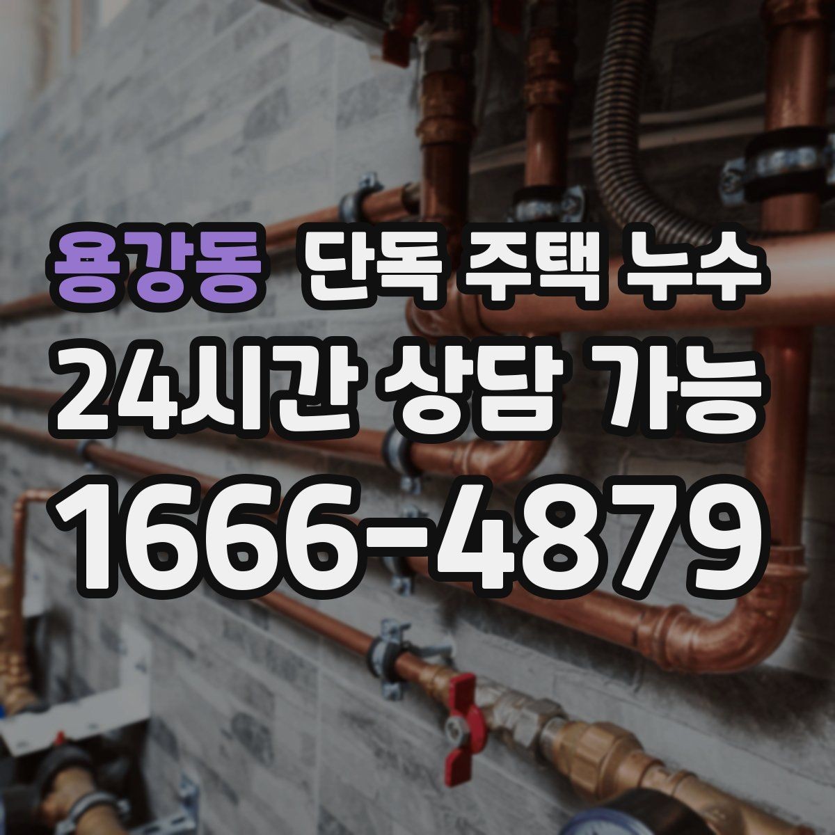 용강동 단독 주택 누수 수리 전 도배 장판을 하면 안 되는 이유
