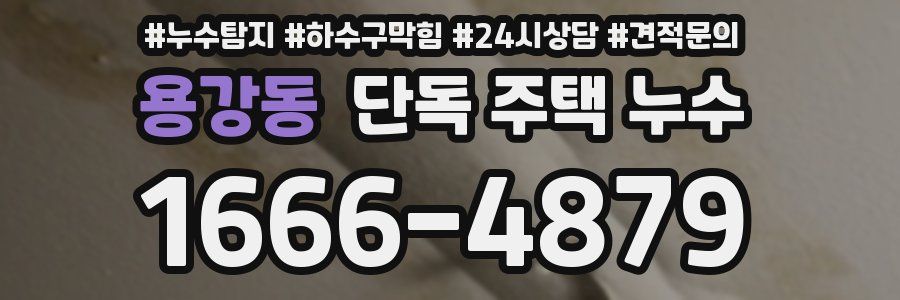 용강동 단독 주택 누수