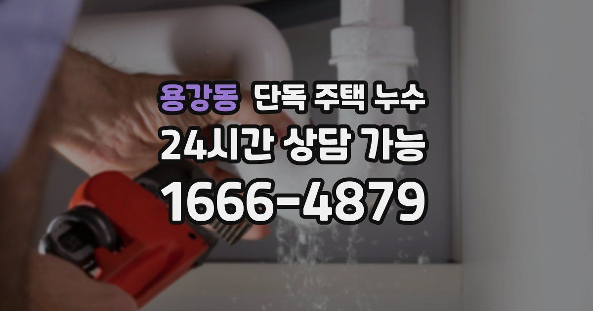 용강동 단독 주택 누수