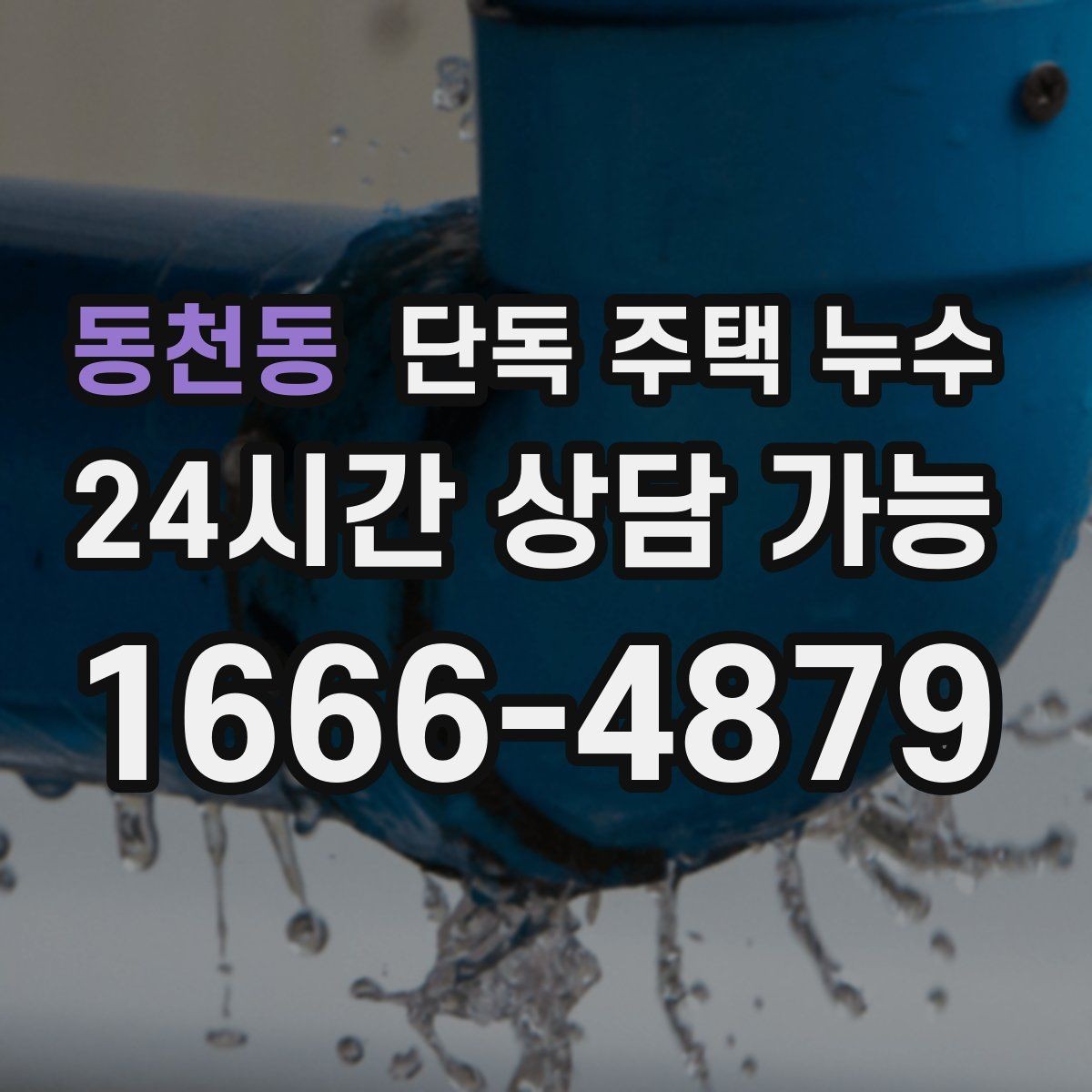 동천동 단독 주택 누수 바닥과 벽 경계가 젖는 경우 의심 포인트