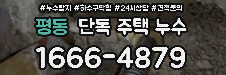 평동 단독 주택 누수