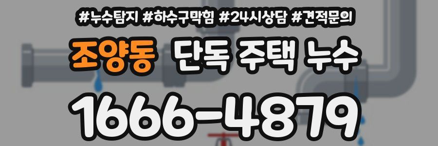 조양동 단독 주택 누수