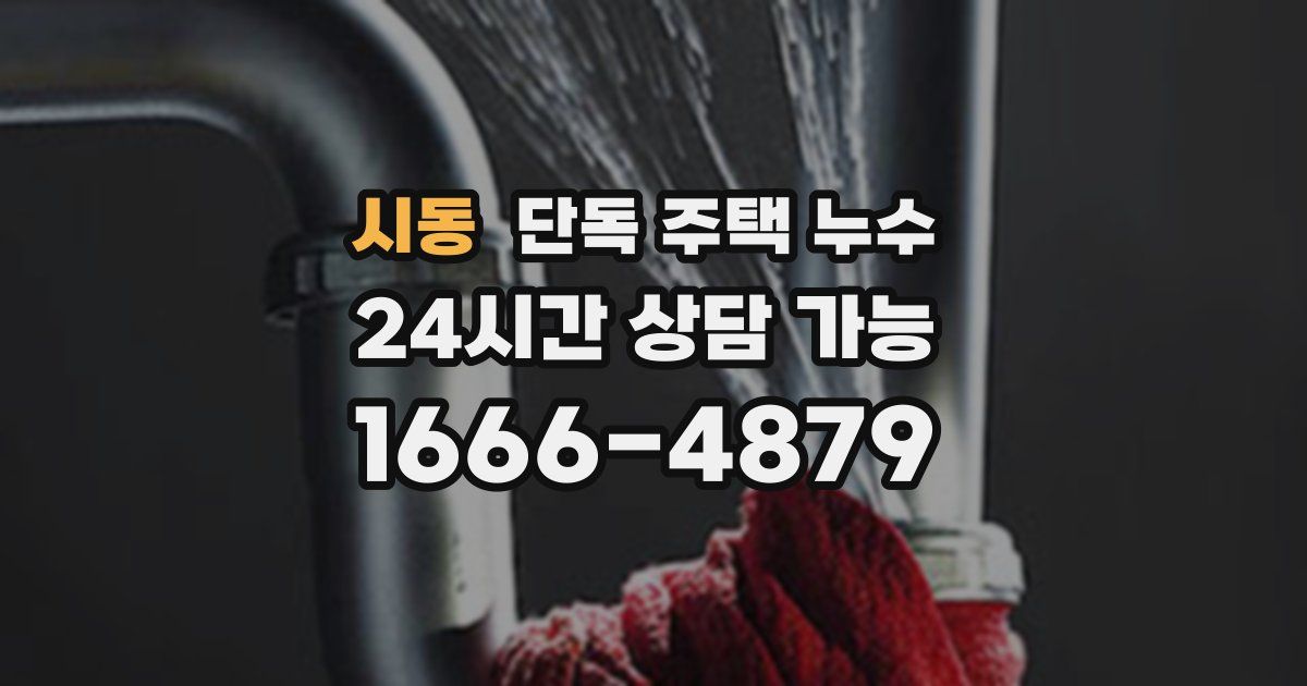 시동 단독 주택 누수