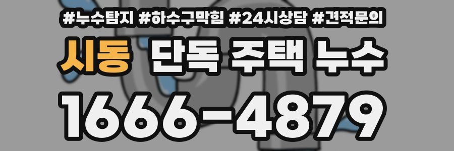 시동 단독 주택 누수