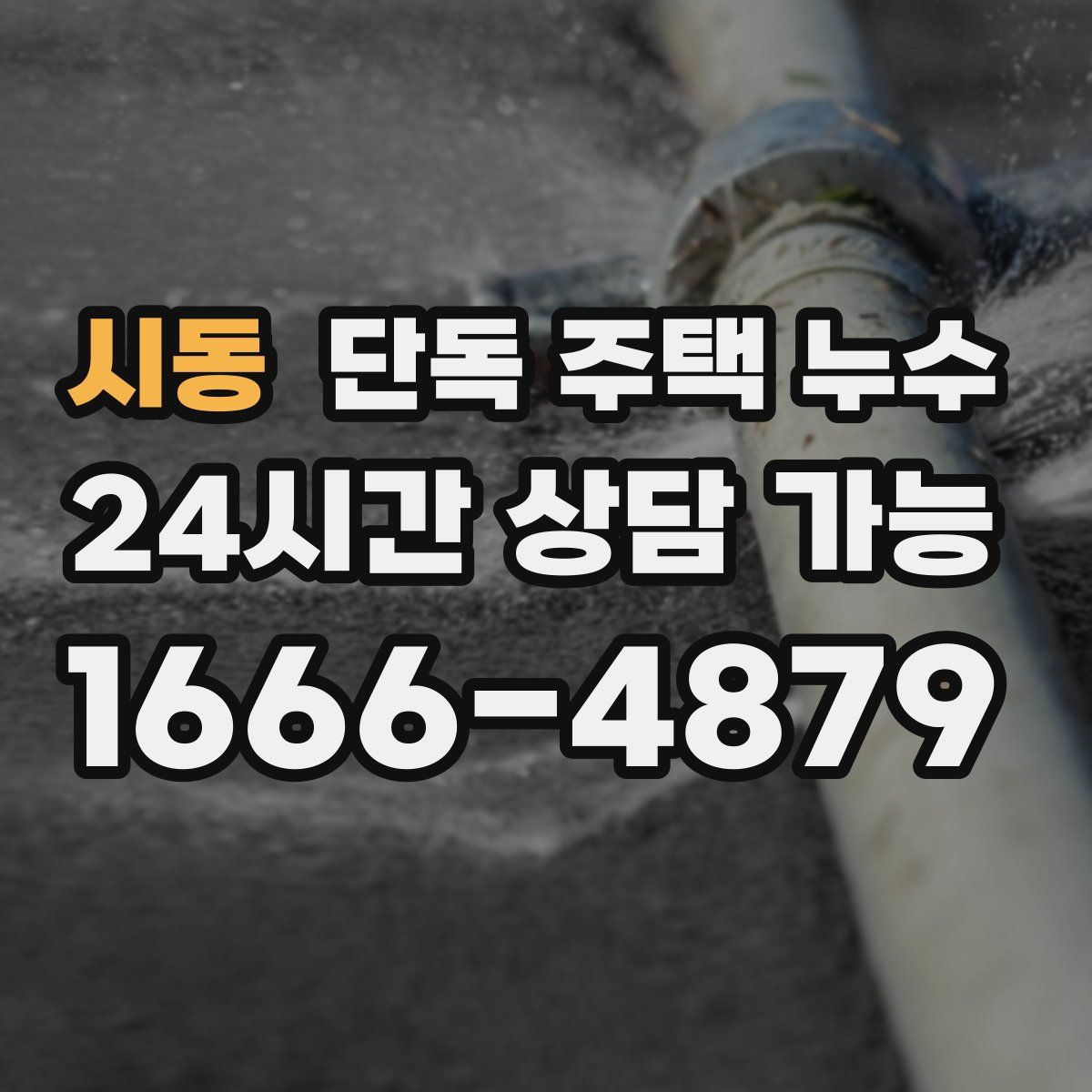 시동 단독 주택 누수