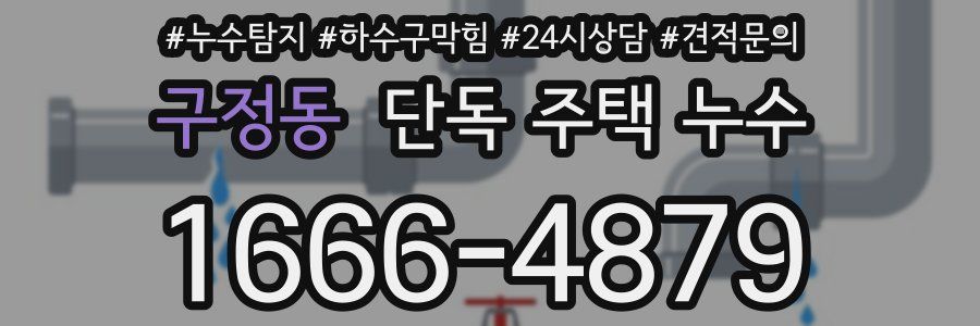 구정동 단독 주택 누수