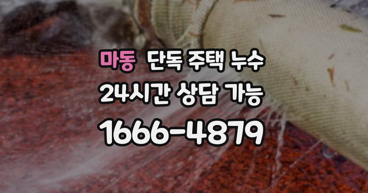 마동 단독 주택 누수