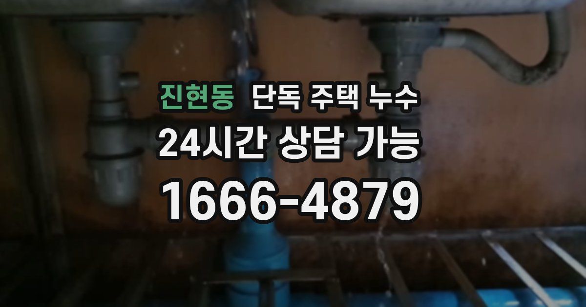 진현동 단독 주택 누수