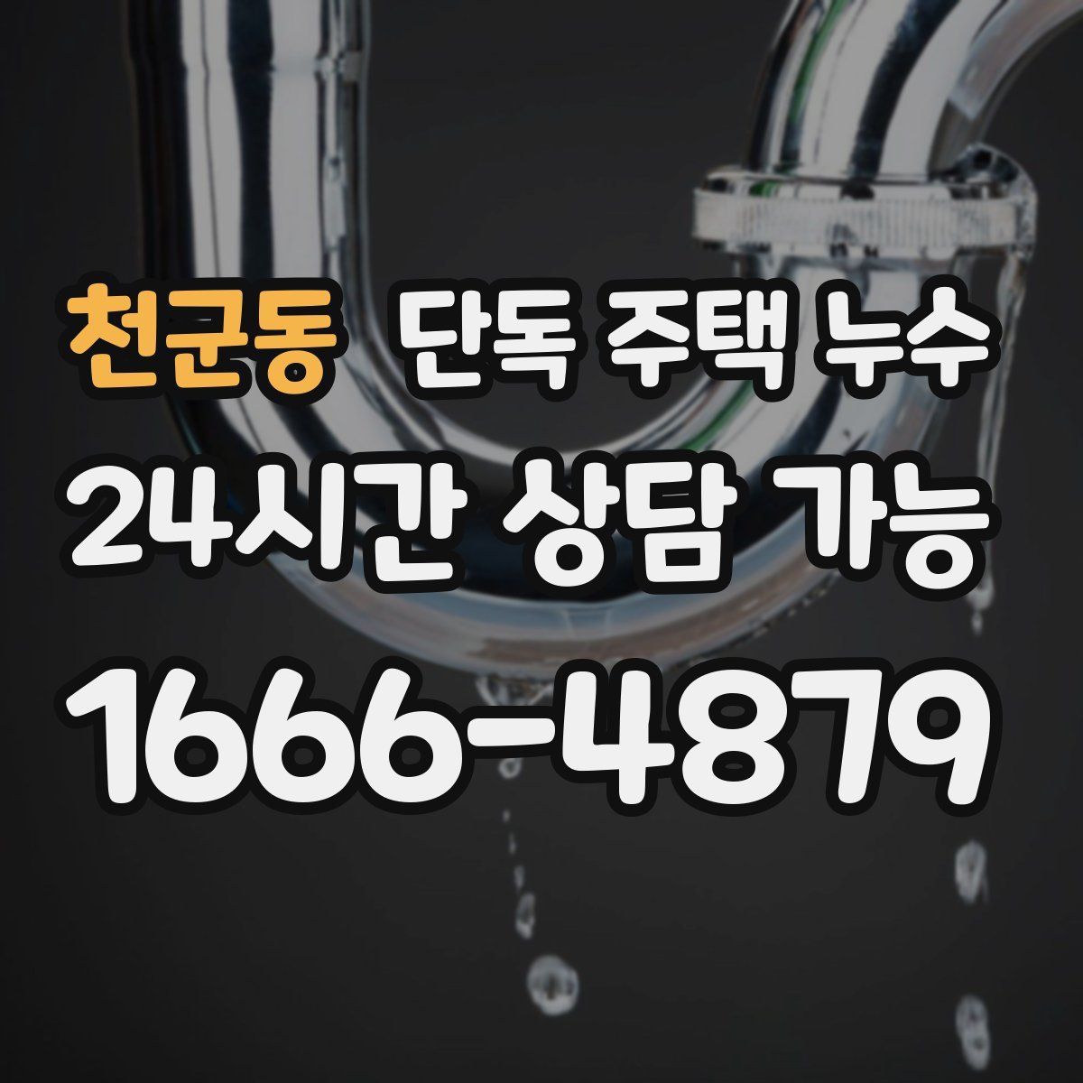 천군동 단독 주택 누수