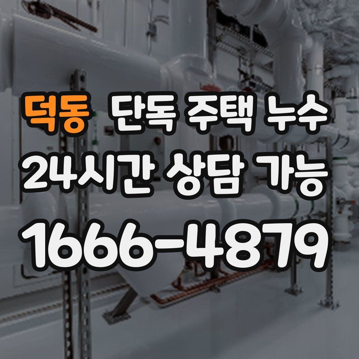덕동 단독 주택 누수 홈통 청소만으로 예방 가능한 범위