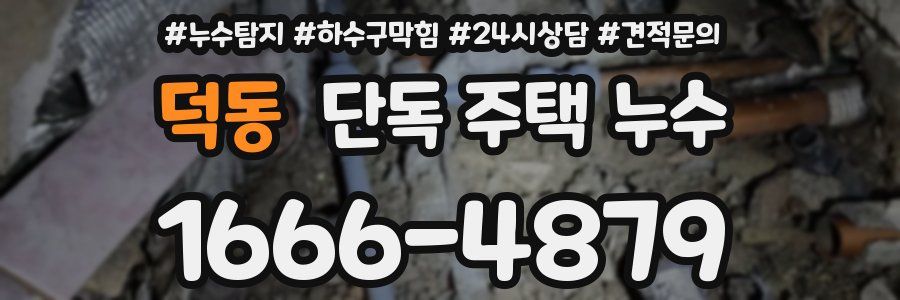 덕동 단독 주택 누수