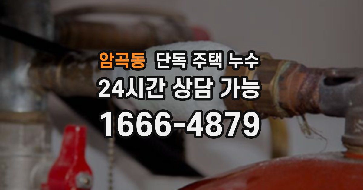 암곡동 단독 주택 누수