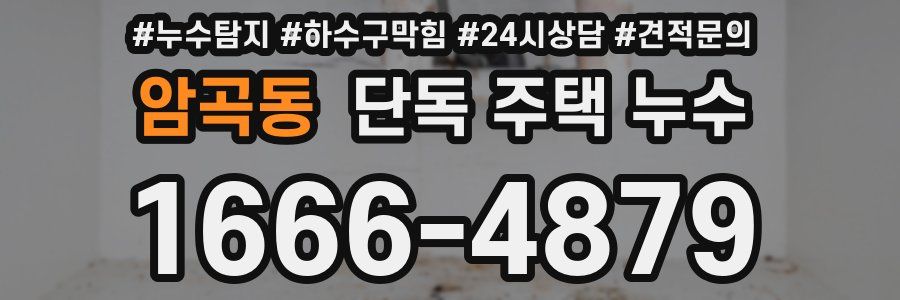 암곡동 단독 주택 누수