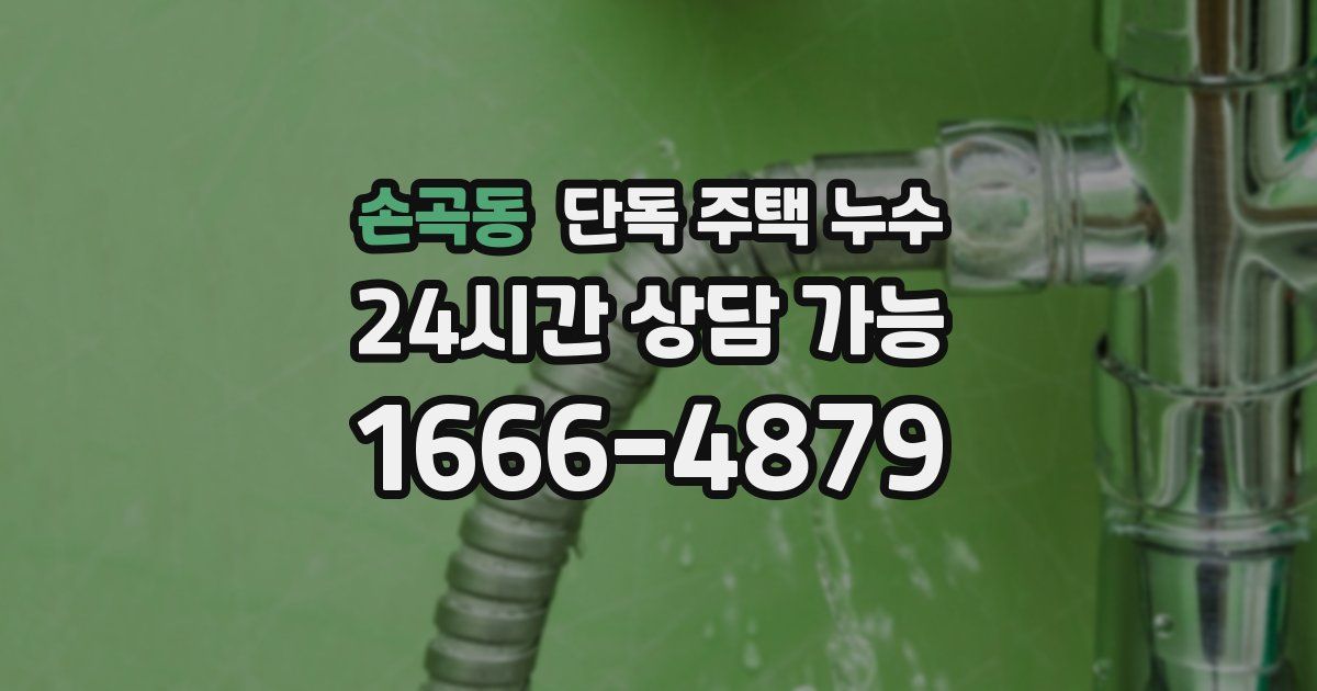 손곡동 단독 주택 누수