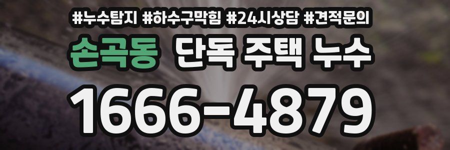 손곡동 단독 주택 누수