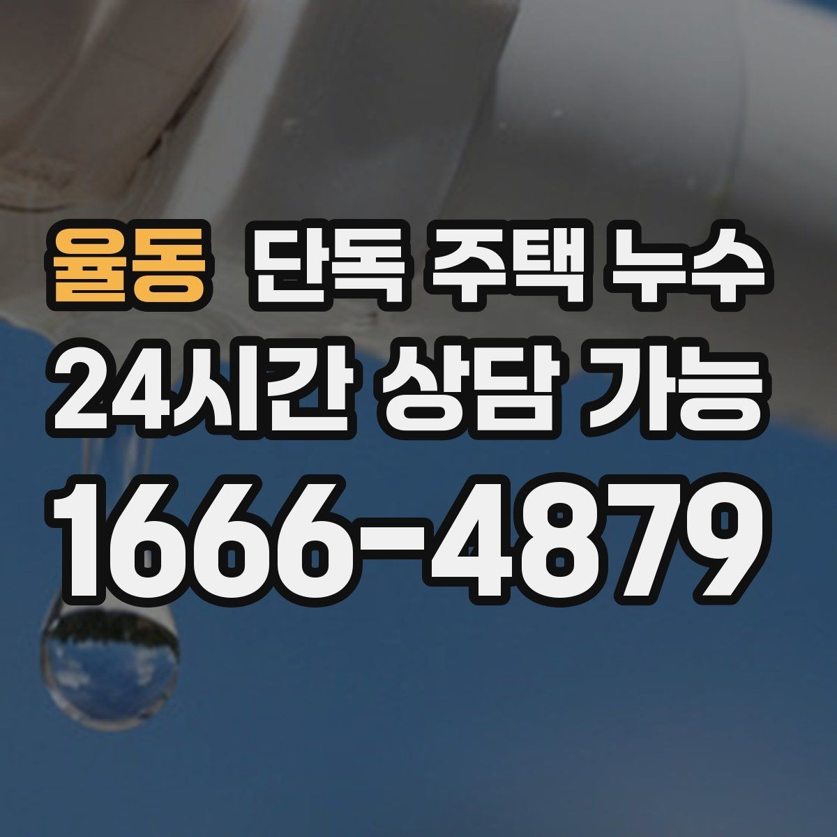 율동 단독 주택 누수 주방만 젖는다면 배관 가능성부터 점검