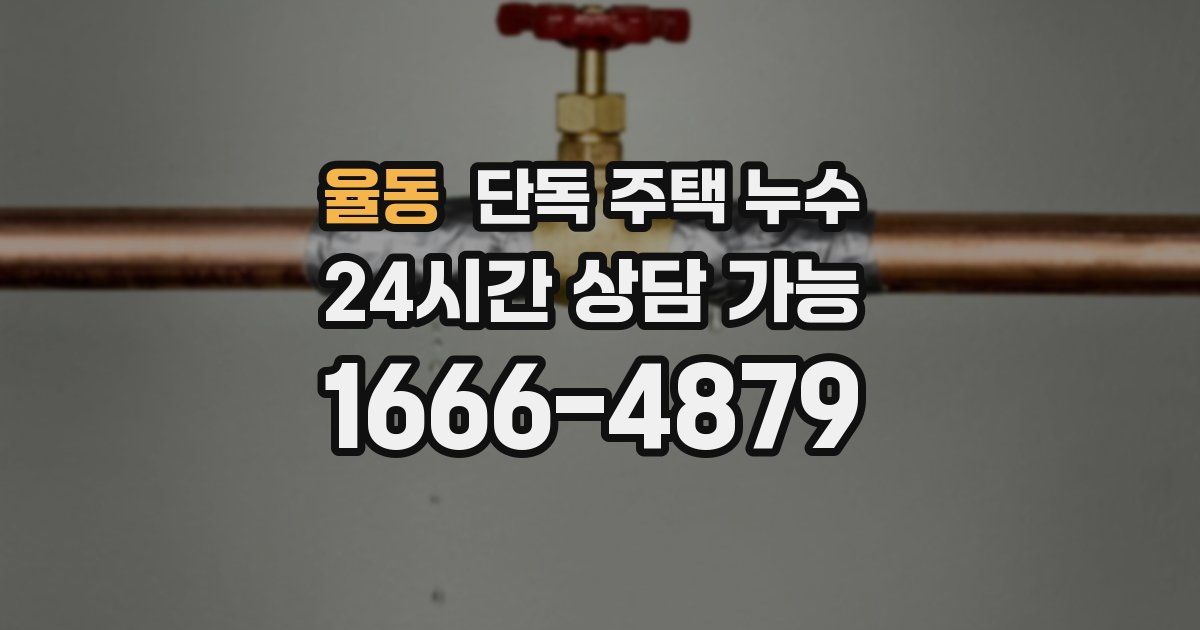 율동 단독 주택 누수