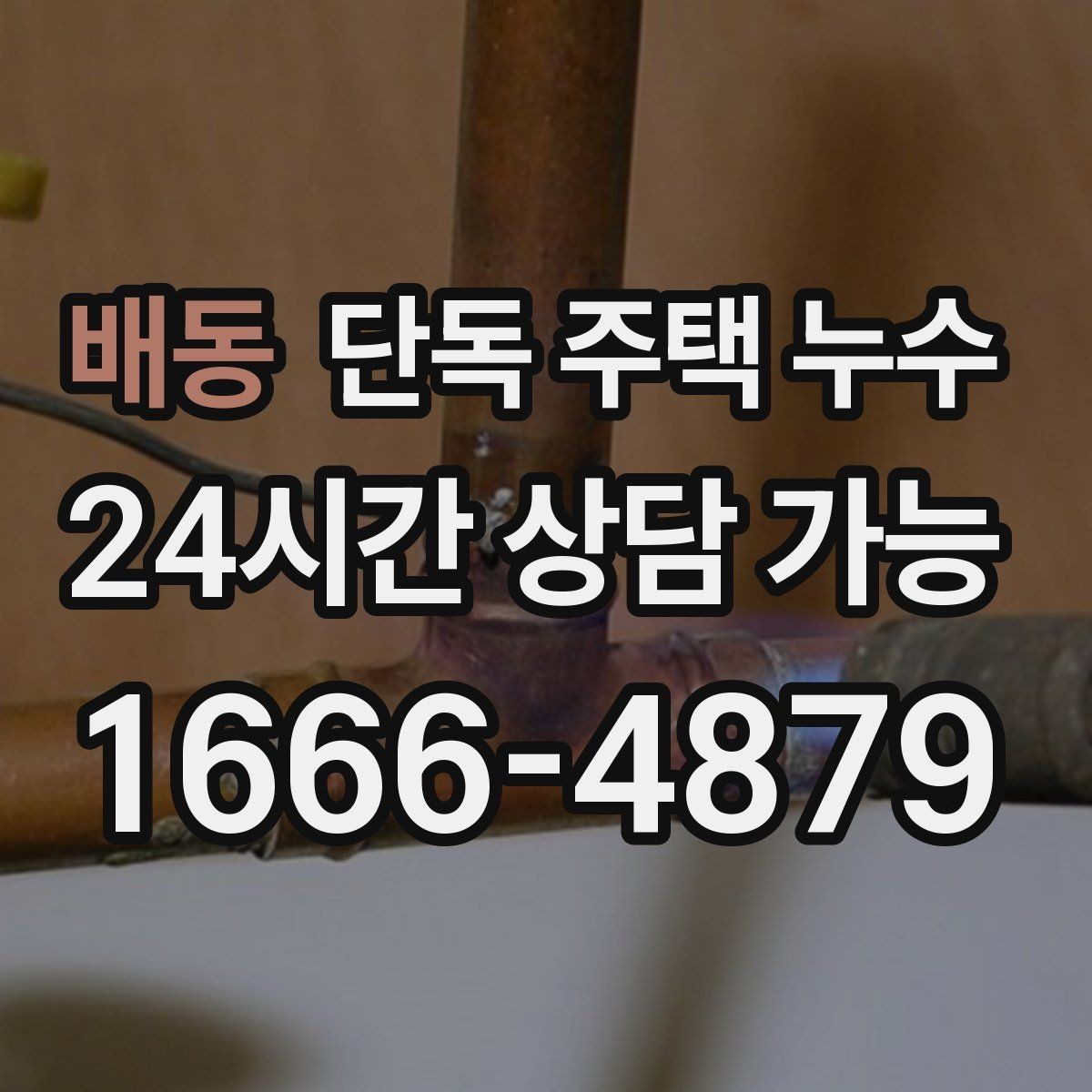 배동 단독 주택 누수 수도 계량기 확인으로 의심 구간 좁히기