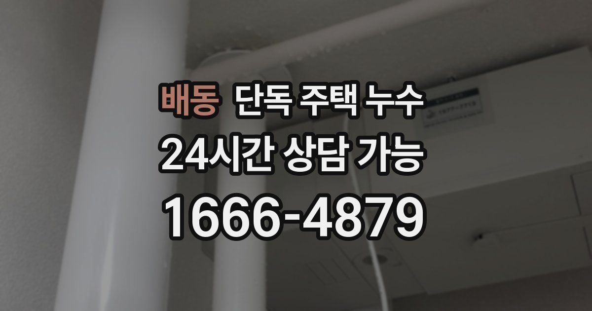 배동 단독 주택 누수