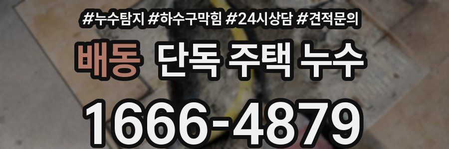 배동 단독 주택 누수
