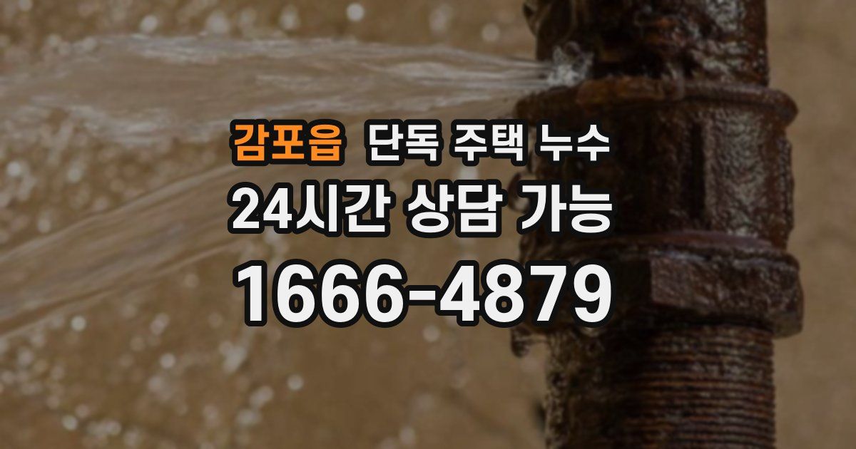 감포읍 단독 주택 누수