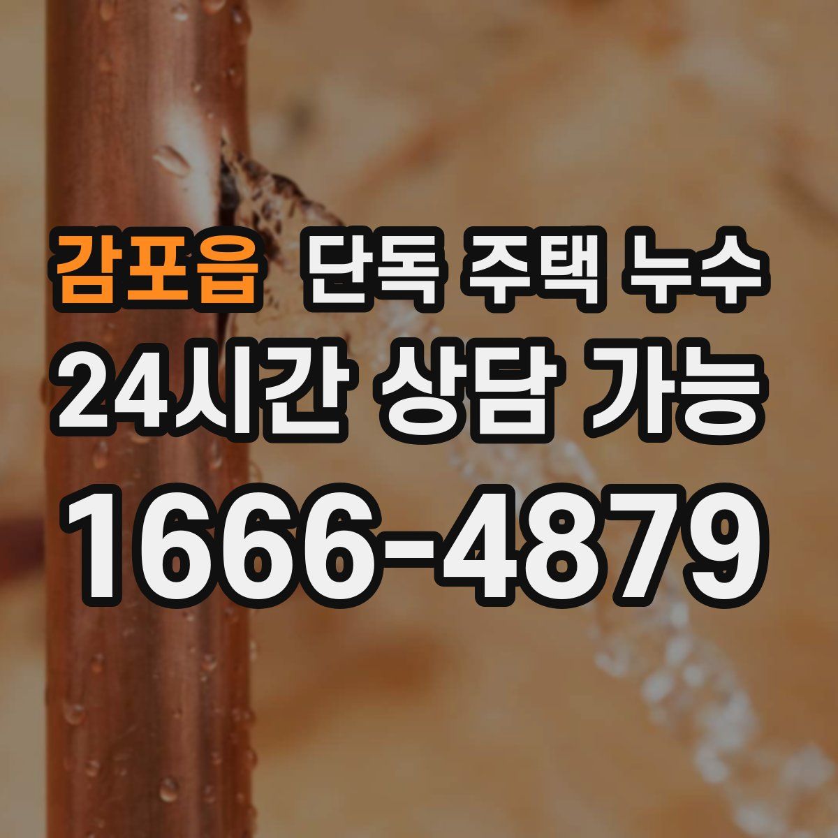 감포읍 단독 주택 누수