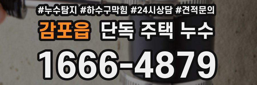 감포읍 단독 주택 누수