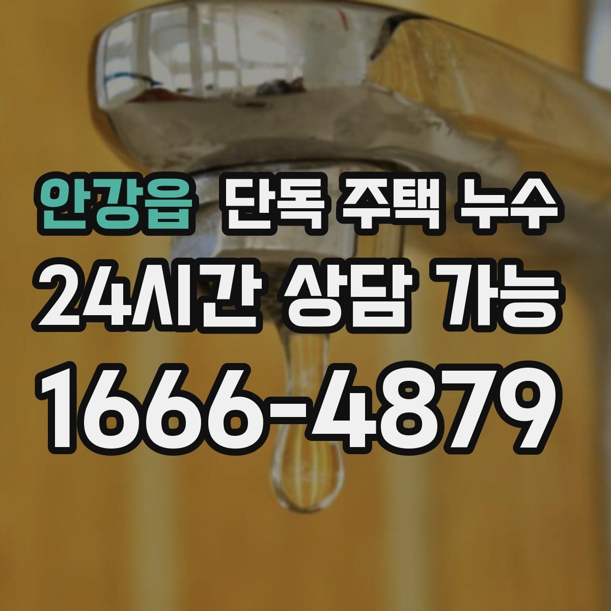 안강읍 단독 주택 누수