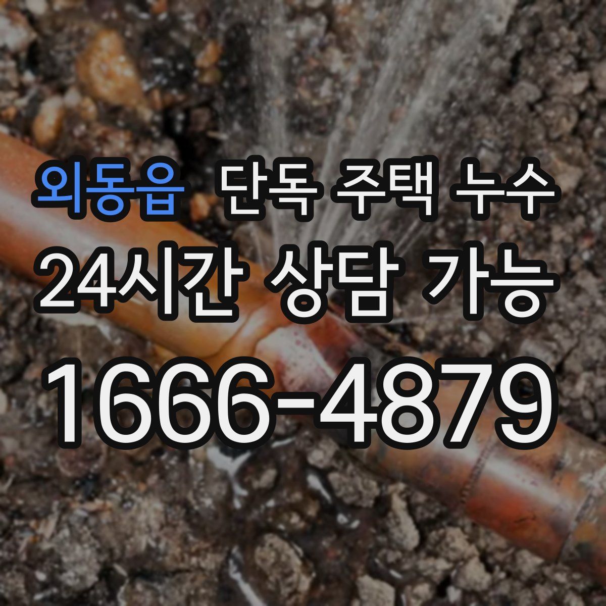 외동읍 단독 주택 누수