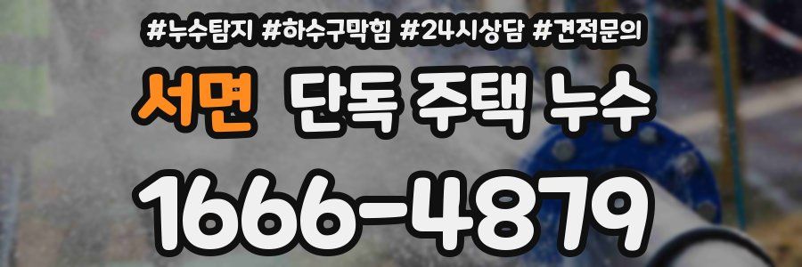 서면 단독 주택 누수