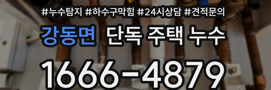 강동면 단독 주택 누수