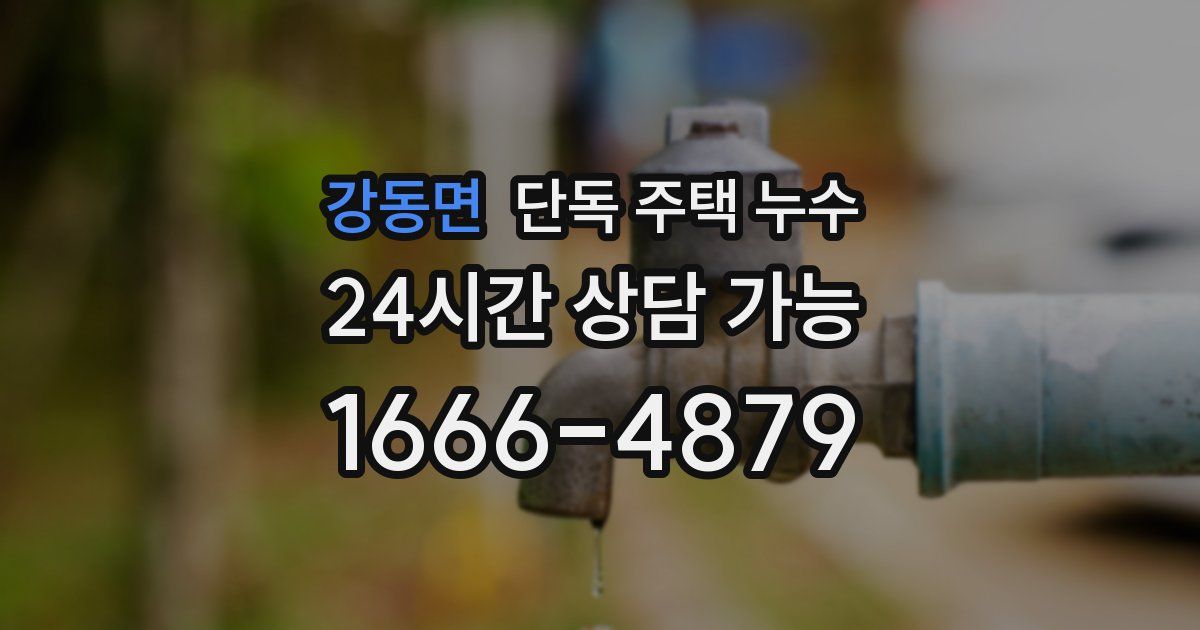 강동면 단독 주택 누수