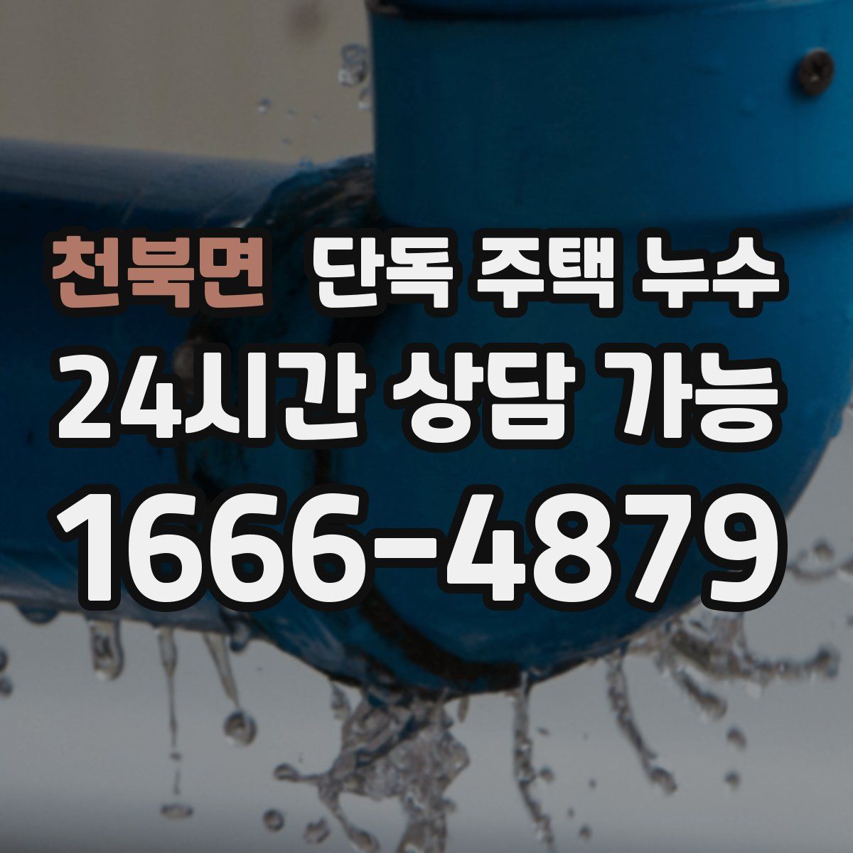 천북면 단독 주택 누수