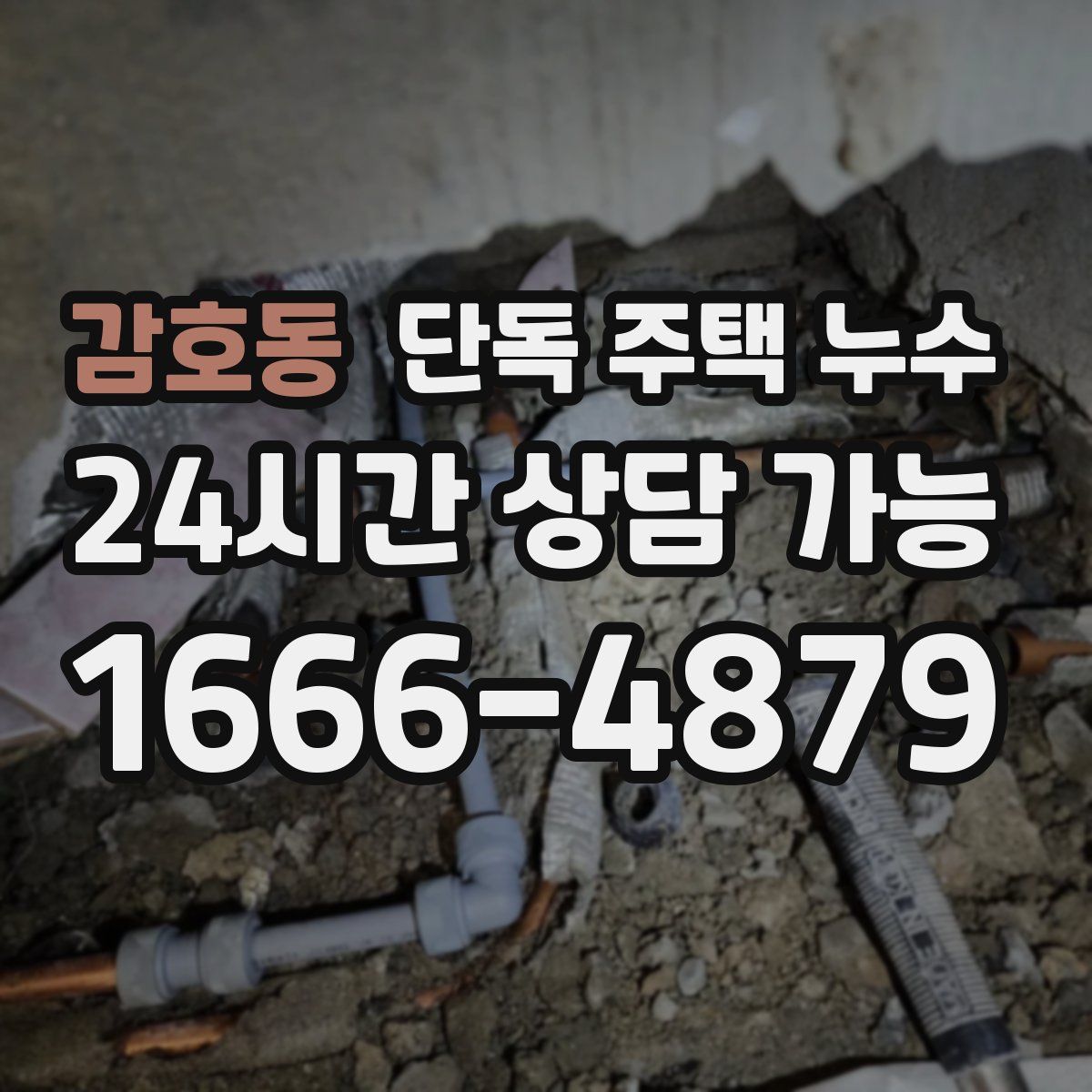 감호동 단독 주택 누수