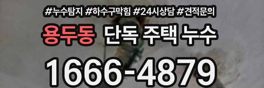 용두동 단독 주택 누수