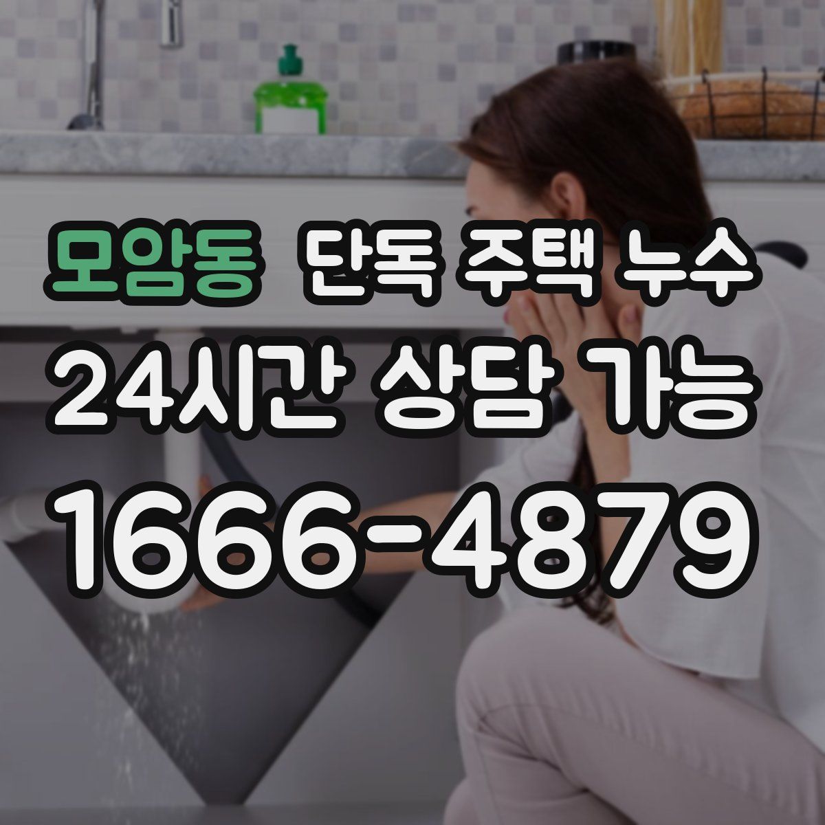 모암동 단독 주택 누수