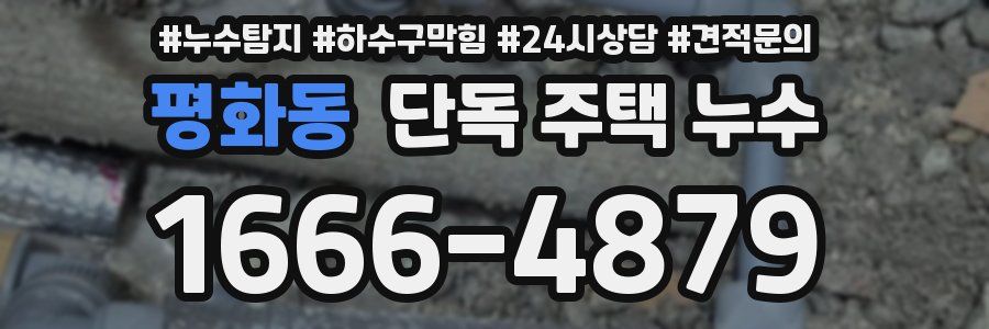 평화동 단독 주택 누수