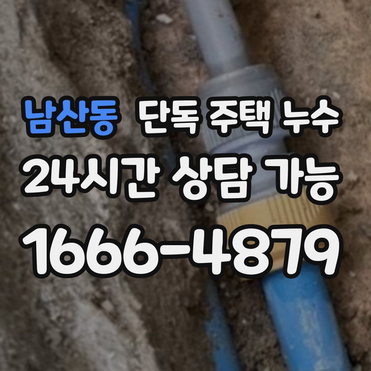 남산동 단독 주택 누수