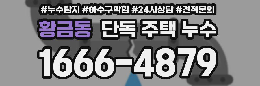 황금동 단독 주택 누수